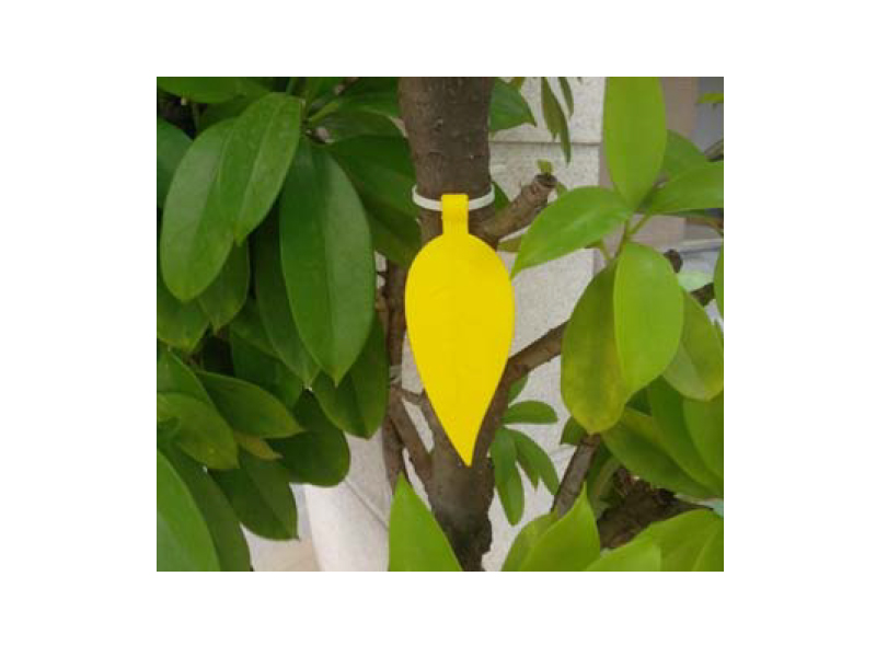 树木管理RFID电子标签