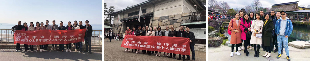 迈德年度优秀旅游新闻