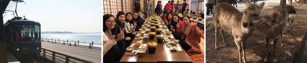 迈德年度优秀旅游