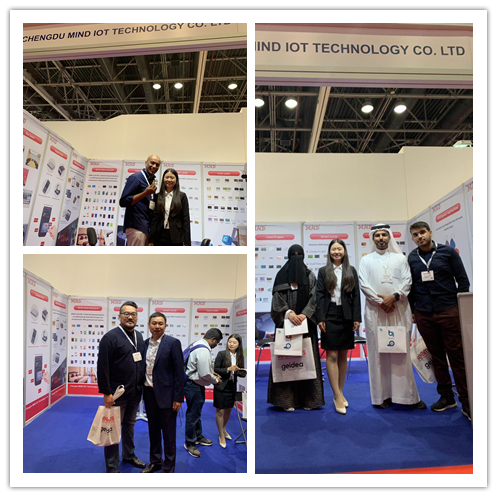 迈德中东迪拜智能卡展